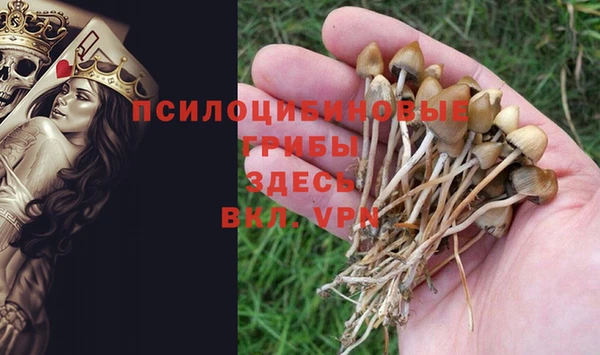 PSILOCYBIN Лабытнанги